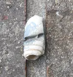 DSCN1681.webp