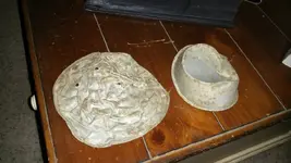 1442516810230.webp