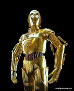 c 3 PO IMGP9987.webp