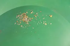 DSCF1181.webp