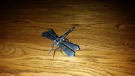 20150729_210224.webp