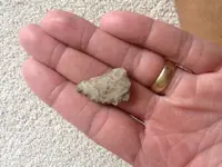 ImageUploadedByTreasureNet.com1441656693.879208.webp