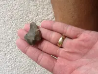 ImageUploadedByTreasureNet.com1441656722.489396.webp