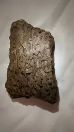 Rock5.webp