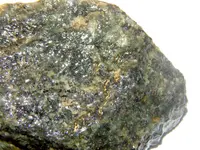 DSCN0764.webp