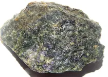 DSCN0754.webp
