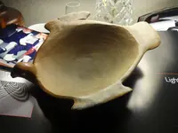 POT 001.webp