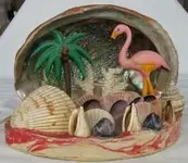 abalone shell.webp