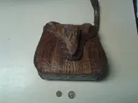 Aligator treasrue 2.webp