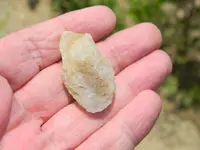 image.webp