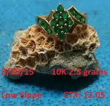 DocBeav Gold Ring #12 2015.webp