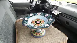 thrift store find 1.webp