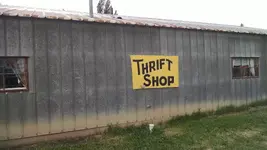 thrift store find 1a.webp