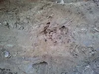 2015-05-15 13.12.03.webp