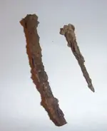 8.30.15-Sq Nails.webp