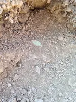 ImageUploadedByTreasureNet.com1441674665.503182.webp