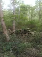 KIMG0113.webp