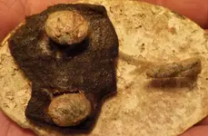 DSCN0533.webp