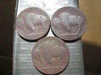 IMG_1981.webp IMG_1981.webp