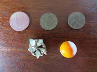 083015Finds.webp