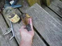 DSCN2340.webp