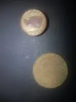 1438894148030.webp
