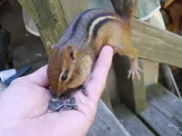DSCN2347.webp