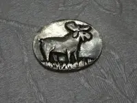 Moose.webp