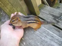 DSCN2348.webp