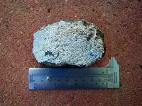 dino rock 1.webp