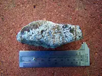 dino rock 2.webp