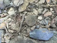 ImageUploadedByTreasureNet.com1441729372.062414.webp ImageUploadedByTreasureNet.com1441729372.062414.webp