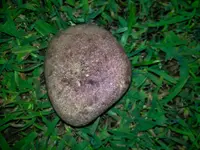 irock2.webp