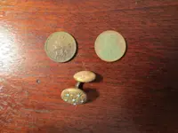 082115Finds.webp