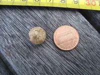 Ball shot.Found.21.1.09.webp