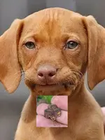 ImageUploadedByTreasureNet.com1438946718.434437.webp ImageUploadedByTreasureNet.com1438946718.434437.webp