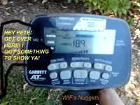 2015 (4).webp
