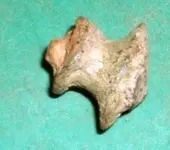 DSCF0001(2).webp