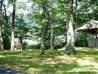 DSCF0007.webp