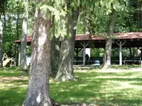 DSCF0009.webp