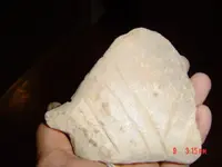 hicks artifacts 025.webp