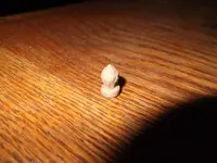 DSCF3420.webp