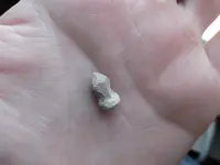 DSCF3427.webp