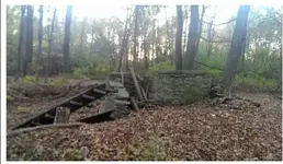 Untitled.webp