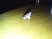 20150905_162539.webp