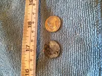IMG_0970.webp IMG_0970.webp