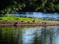 037.webp