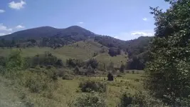1440263434462.webp