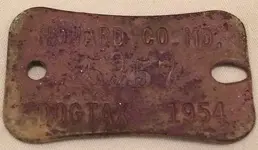 Dog_tag.webp