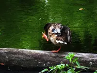 065.webp